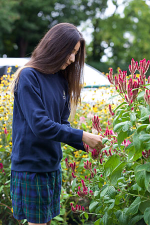 Immaculata Catholic School is named U.S. Department of Education Green Ribbon School